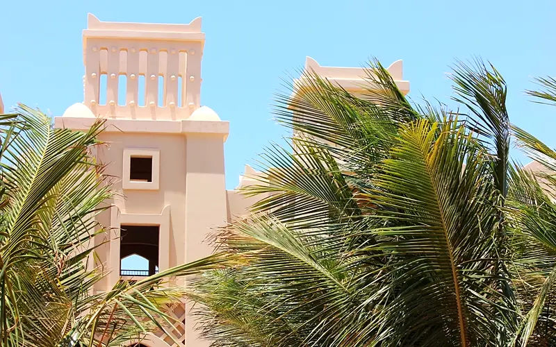 تنسيق حديقة فيلا في شمال الرياض بثيل طبيعي ونخيل